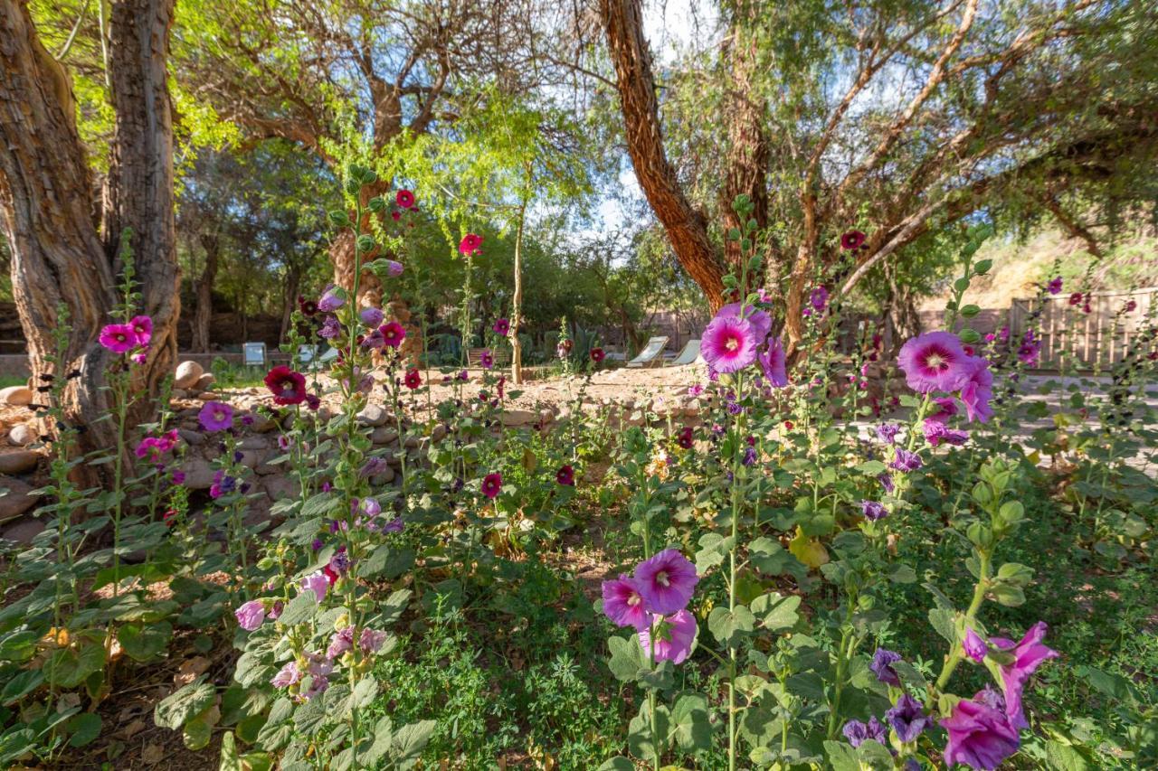 Casa Solcor Boutique Bed & Breakfast San Pedro de Atacama Luaran gambar