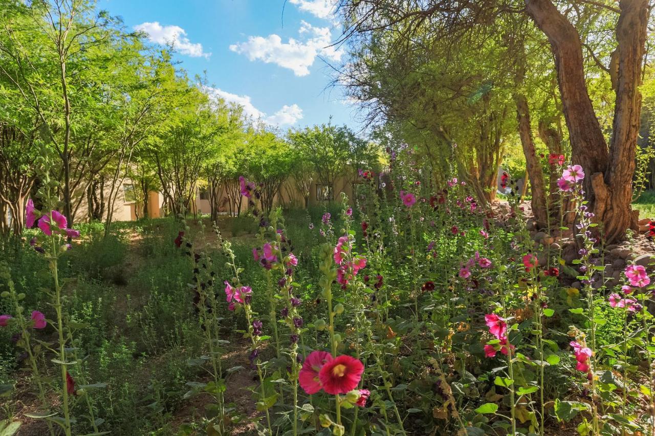 Casa Solcor Boutique Bed & Breakfast San Pedro de Atacama Luaran gambar